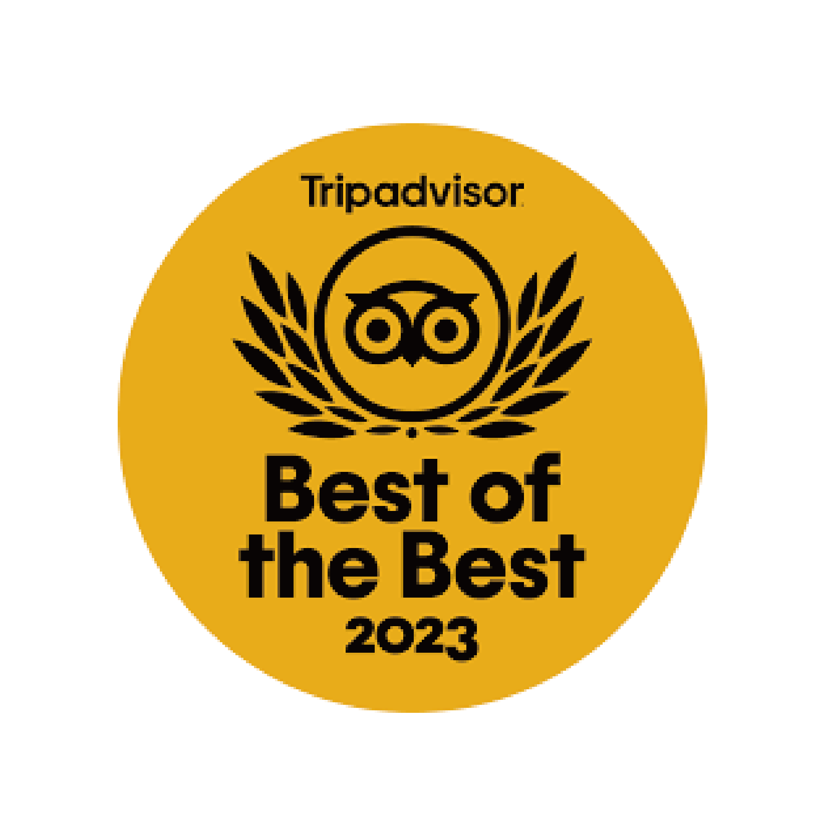 Tripadvisor