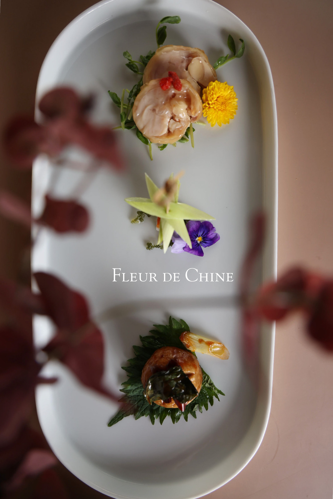 KEN CANヴァカンス